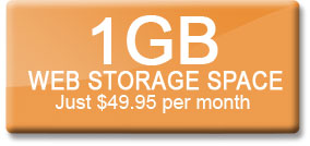 Hosting with 1GB Storage Space